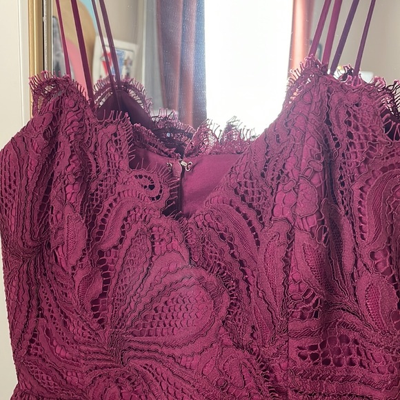 Zac Posen Lace Midi Dress - Picture 3 of 7